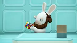 Rabbid Theory