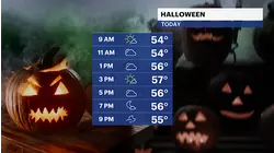 WIND ALERT: Windy conditions with some sunshine heading into the weekend for The Bronx