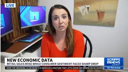 Consumer confidence in the economy is still shaky, says a collection of new reports this week