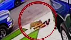 Captan el aterrador momento en que un coyote ataca a un niño delante de su mamá