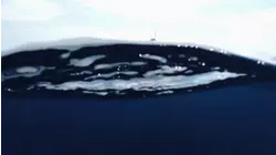 Uncharted Waters With Peter Miller S2:E4 "Pacific Fins Guatemala, Sailfish and Mahi"