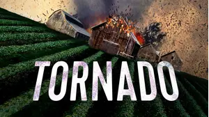 Nature Unleashed: Tornado