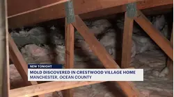 Ocean County launches investigation after reports of mold at 55 and over community in Whiting