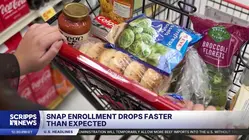 Trump-backed SNAP changes lead to sharp cuts in food assistance