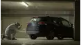 Crime Scene Solvers