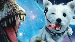Star Paws