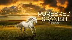 Purebred Spanish: The Origin