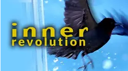 Inner Revolution