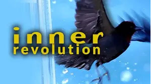 Inner Revolution