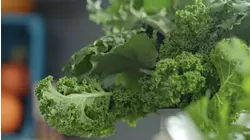 Kale
