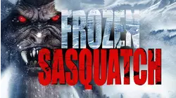 Frozen Sasquatch
