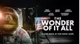 The Wonder of it All
