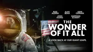The Wonder of it All