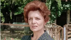 A Kingdom for a Horse