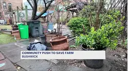 Neighbors, local officials rally to save Bushwick City Farm from closure