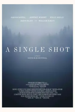 A Single Shot
