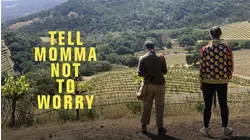 Tell Momma Not to Worry