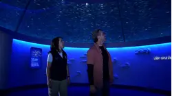 Monterey Aquarium
