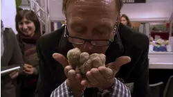 Cruise Ship, Truffles, Asphalt