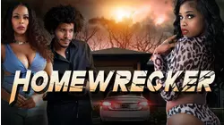 Homewrecker