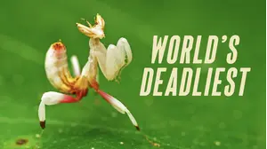 World's Deadliest S1