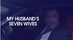 My Husband's Seven Wives