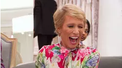 There's a Shark in the Salon!