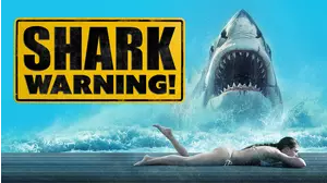 Shark Warning!