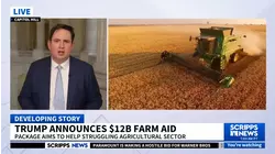 Trump is proposing a $12B aid package for farmers hit hard by his trade war