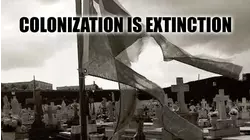 Colonization Is Extinction