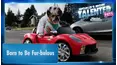 World's Most Talented Pets