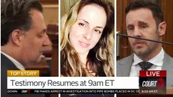 Ana Walshe's Lover Takes Stand; How Much Did Brian Walshe Know?