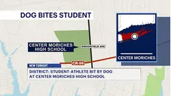 Student-athlete bitten by unleashed dog at Center Moriches HS