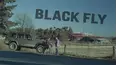 Black Fly