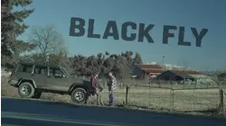 Black Fly