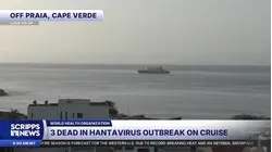 Suspected outbreak of rare hantavirus on cruise ship kills 3 people