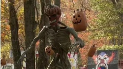 Fairfield Halloween Haunt celebrates 10th anniversary, with proceeds benefiting programs for children
