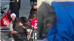 San Diego lifeguards rescue missing dog found paddling in ocean
