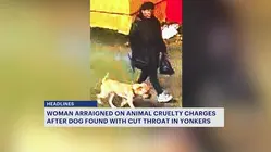 Yonkers woman arraigned in case of abandoned, injured dog