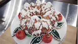 Signs of the Season