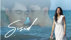 Sisid