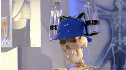 You're Mostly Made Of Water!