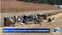 Investigation underway in suspected dog mauling that left woman dead in San Bernardino
