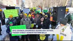 Street vendors rally, as council overrides veto on bills to expand licenses, reform vending