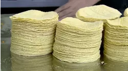 Corn Tortillas and Bush Planes