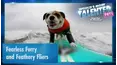 World's Most Talented Pets