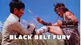 Black Belt Fury