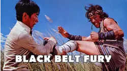 Black Belt Fury