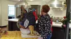 Tricked-Out Turkey