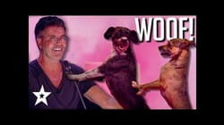 Simon Cowell's No. 1 DOG ACT on Britain's Got Talent: The Champions 2019 | Got Talent Global
